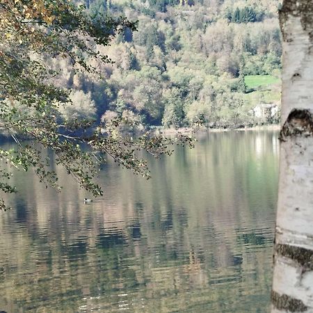 Casa Vacanza Da Nonna Elena Vattaro Zewnętrze zdjęcie